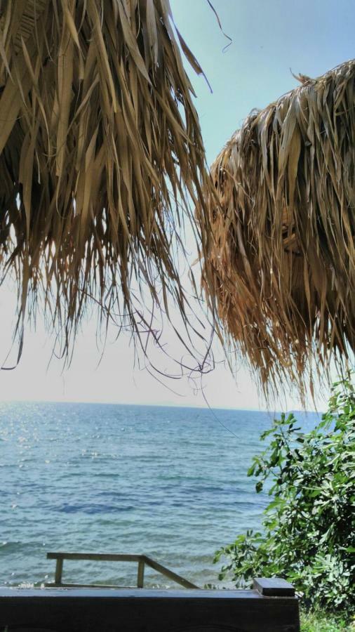 Alex Beach Apartment Sveti Vlas Bagian luar foto